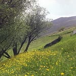 عکسها از وبلاگ دیار الوند