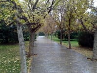 دالان عشق در باغ! - پاییز 1388