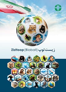 bioball-