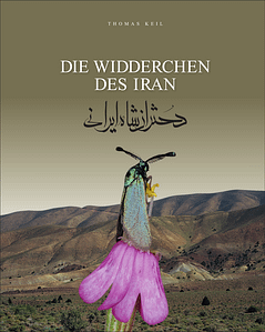 روی جلد کتاب