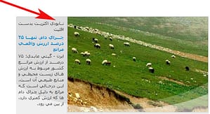 نابودی اکثریت به دست اقلیت را محکوم می کنیم ... الله اکبر!