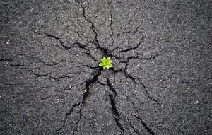 نوروز 1394 گوارای وجود