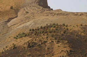 تصوير 5