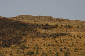 تصوير 2