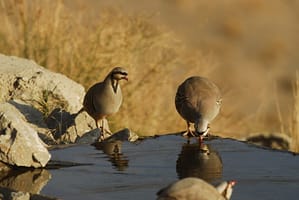 قدرشان را بدانیم ...