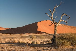 مصاحبه با آنا