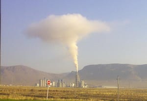 همان! در نمایی نزدیک تر