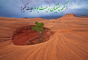 لطفا نظر دهید ...