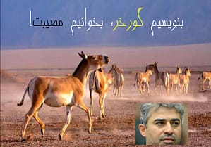 گورخرهایی که مصیبت می شوند!