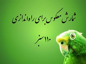 110 سبز