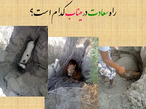شغل جدید مردمان میناب!