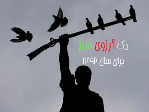 یک آرزوی سبز