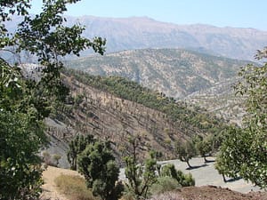 قدر طبیعت کردستان را بدانیم ... قدر طبیعت کردستان را بدانیم ...