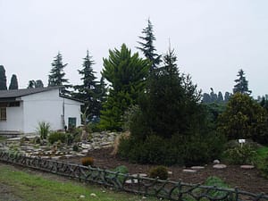 g1033_2