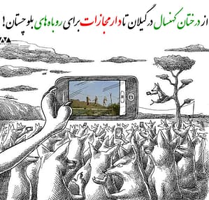 چرا آزار حیوانات؟!