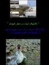 از حركت دوم موج سبز وبلاگستان حمايت كنيم - با سپاس از محسن تيزهوش و سپهر سليمي