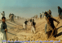 در زابل اتفاق افتاد!