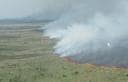Flames grow during a late May fire at the north end of Lake Okeechobee. Hundreds of acres were charred and began to sprout new growth almost immediately