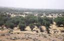 عرصه تثبيت شده در غرب كرخه با گونه غالب كهور