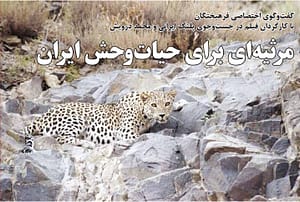 کلیک کنید