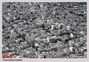 لانه زنبوري به نام تهران!