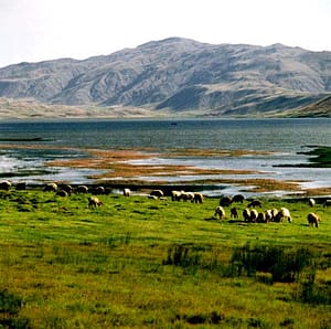 تالاب زیبای گندمان در دیروز ...