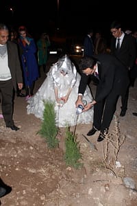 در حال آبیاری دو نهال کاشته شده ...