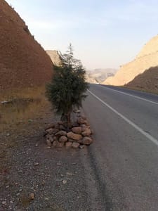 به سنگ چین ها دقت کنید ... درون گلدان سنگچین شده پراز خاک مغزی و هوموس دار است.