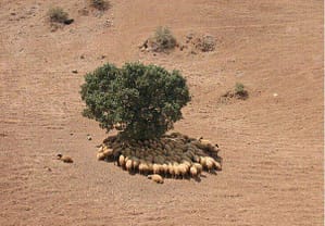 کلیک کنید