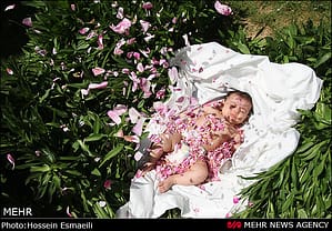 کلیک کنید