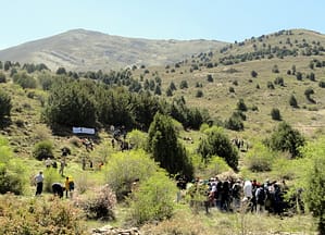 سیراچال