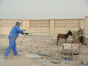 الاغ مجروح در حیاط مدرسه