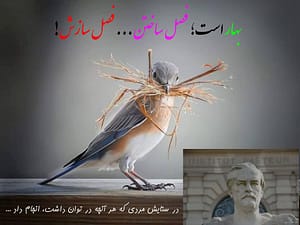 در ستایش ظریف!