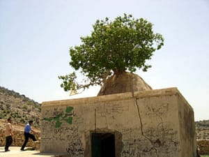 عكس ها از آقاي مهندس فرهاد فخريان