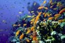 red-sea.jpg